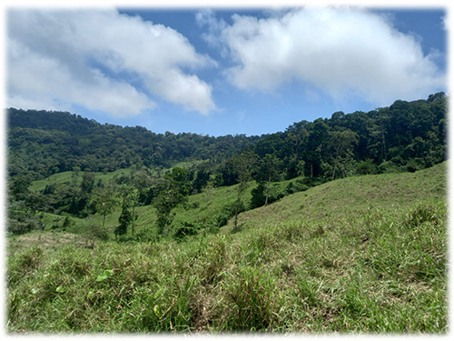 cloud forest, conservation land, land for sale, puntarenas, savegre, nature, waterfalls, mountain, sustainable living