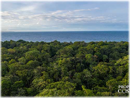 Punta Uva, Caribbean, Real Estate, Home, for sale, nature, river, close to the beach, Limon, Costa Rica