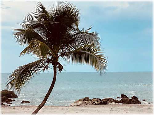 montezuma, beach, homes, for sale, pool, fruit trees, investments