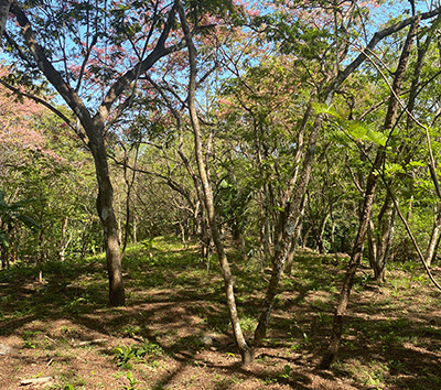 Cradled by Nature, Hidden in the Blue Zone