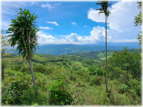 Costa Rica, mountain, panoramic, view, land, lots, farms, for sale, Grifo Alto, Puriscal, real estate