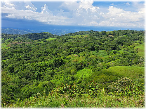 Costa Rica, mountain, panoramic, view, land, lots, farms, for sale, Grifo Alto, Puriscal, real estate