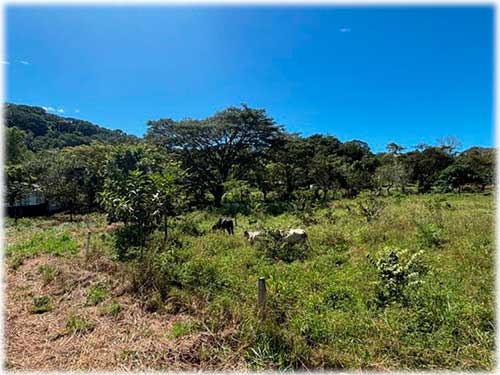 atenas, land for sale, central valley, highway, lot