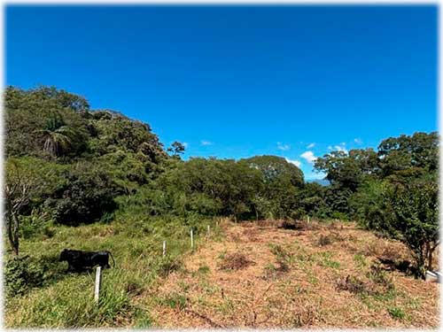 atenas, land for sale, central valley, highway, lot