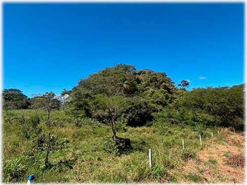 atenas, land for sale, central valley, highway, lot