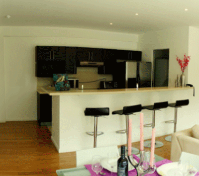 Beautiful Large Modern Apartment for Rent in Escazú near Multiplaza