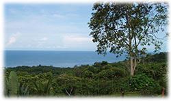 Oceanview home, osa real estate, bahia ballena ocean view for sale, home in south pacific