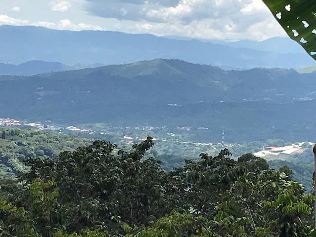Mountain Estate in Naranjo Newly Planted with Coffee with Amazing Views
