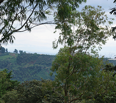 Mountain Estate in Naranjo with Amazing Views