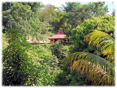 mountain home, near to dominical, natural landscapes, easy access house, landscaped with fruit trees, cool climated home