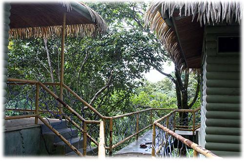 real state for sale, mountain house, tree house, south pacific real estate, cabinas