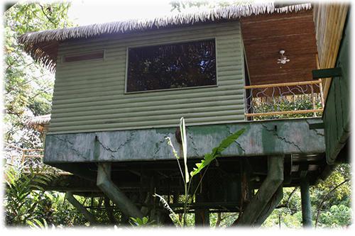 real state for sale, mountain house, tree house, south pacific real estate, cabinas