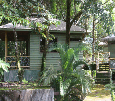 Eco Cabina Elevated Tree House Hotel or Retreat Center