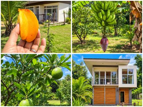 cobano, house for sale, beach properties