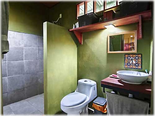 two homes, for sale, caribbean, caribe, manzanillo, investment, homes, cozy, nature