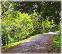 Costa Rica Real Estate