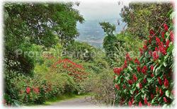 Costa Rica real estate, Santa Ana Costa Rica, land for sale, panoramic views, montana del sol, gated community, building land