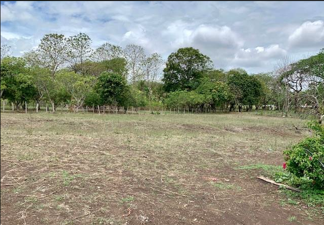 Lot For Sale in Nicoya