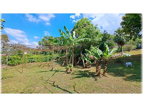 ciudad colon, land, for sale, lots, development opportunity, investment, oasis of nature, flat land