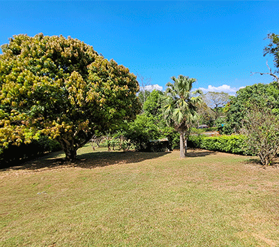 Peaceful Lot in Ciudad Colón