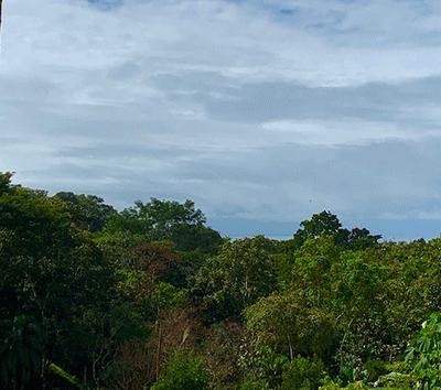 Ocean View Land with 2 Levels, Ready for Building!