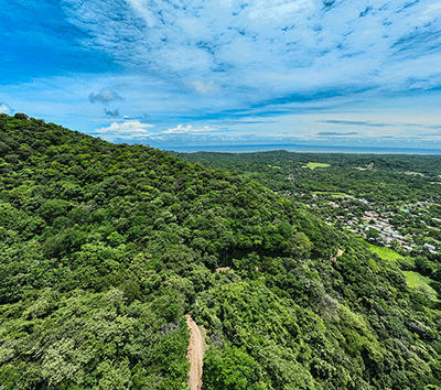 Unique opportunity to purchase an ocean view finca located in Nosara