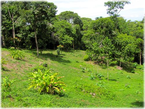 investments, land, lots, for sale, puntarenas, south pacific, development, ocean view, beach, close to the beach