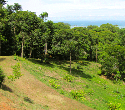 10 Acres with Ocean View - Ideal for Eco-Retreat!