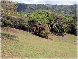 costa rica real estate, for sale, beach, ocean view properties, beach front properties only, dominical real estate, properties in domincal,