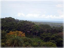 
Mountain Views,
Cleared Land,stunning views
