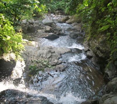A River Runs Through this Ocean View Investment Property!