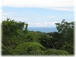 private location, oceanview invest property, mountain valley view, land for sale in osa, A River Runs Through It