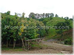 Puntarens lots, land for sale, Paquera real estate, affordable, 1739