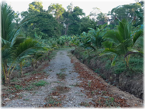 Caribbean, Cahuita, Land, Farm, For sale, Permaculture