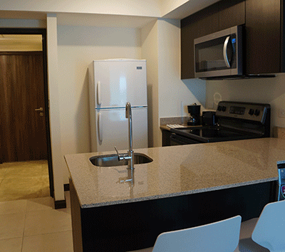 Centric one bedroom apartment in tower in the heart of the city