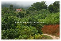 Costa Rica, real estate, for sale, swimming pool, oceanview, panoramic, beach, dominical, south pacific, surf, 1917