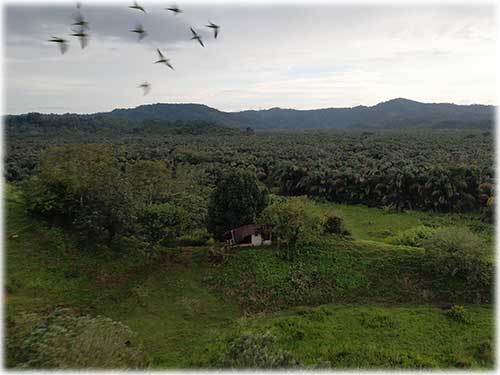 sierpe, land, development, outback properties, for sale, mountain, river, Nature Reserve, Eco - Retreat, Retreat, Private Ranch