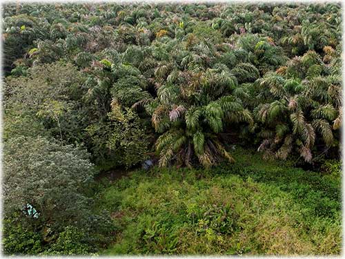 sierpe, land, development, outback properties, for sale, mountain, river, Nature Reserve, Eco - Retreat, Retreat, Private Ranch