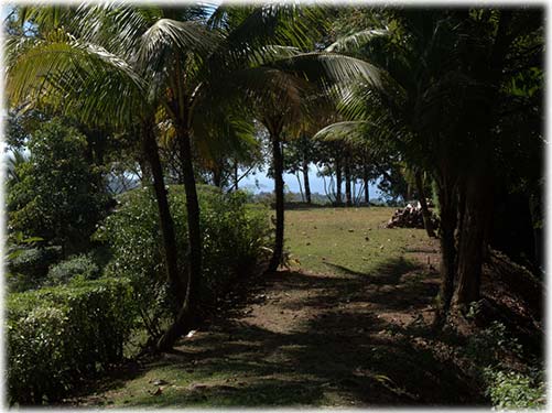 ocean views, uvita real estate, land for sale, development, beach, south pacific, ready to build homes