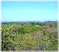 Oceanview land for sale in Tamarindo, features 5 hills