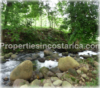 Environmentally-Friendly Hotel With High Occupancy Rates In The Heart Of The Caribbean