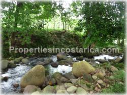 Guapiles Limon, Guapiles for sale, Guapiles real estate,land for cattle, pasture, agriculture, investment land, Costa Rica,1708