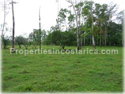 Guapiles Limon, Guapiles for sale, Guapiles real estate,land for cattle, pasture, agriculture, investment land, Costa Rica,1708