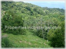 Lot for sale, Dominical ocean view lot, residential lot, Dominical real estate, Dominical Pacific ridge, Costa Rica ocean view land, airport, beachm internet service, 1476