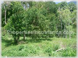 Lot for sale, Dominical ocean view lot, residential lot, Dominical real estate, Dominical Pacific ridge, Costa Rica ocean view land, airport, beachm internet service, 1476