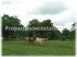 Costa Rica real estate, Guanacaste Real Estate, for sale, land for sale, development farm, titled land, Costa Rica farms 