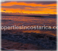 Investment Land for Sale