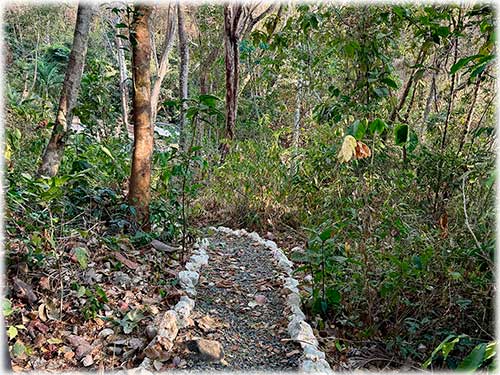 for sale, home, paquera, beach homes