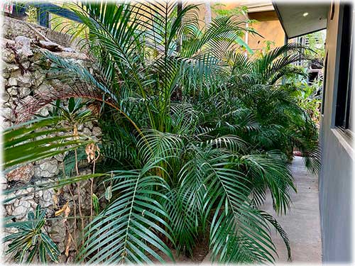 for sale, home, paquera, beach homes