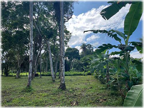 puntarenas, miramar, lots for sale, tranquil lifestyle, easy access